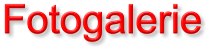 Fotogalerie