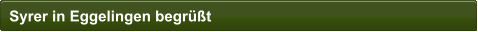 Syrer in Eggelingen begr��t