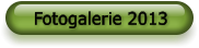Fotogalerie 2013