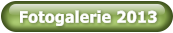 Fotogalerie 2013