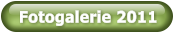 Fotogalerie 2011